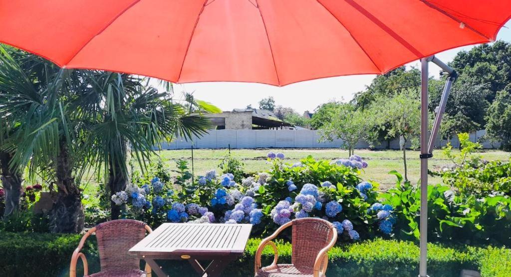 זונהובן B&B Casa Roman & Vakantiewoning Voor 1 Pers Tot Max 32 Personen מראה חיצוני תמונה